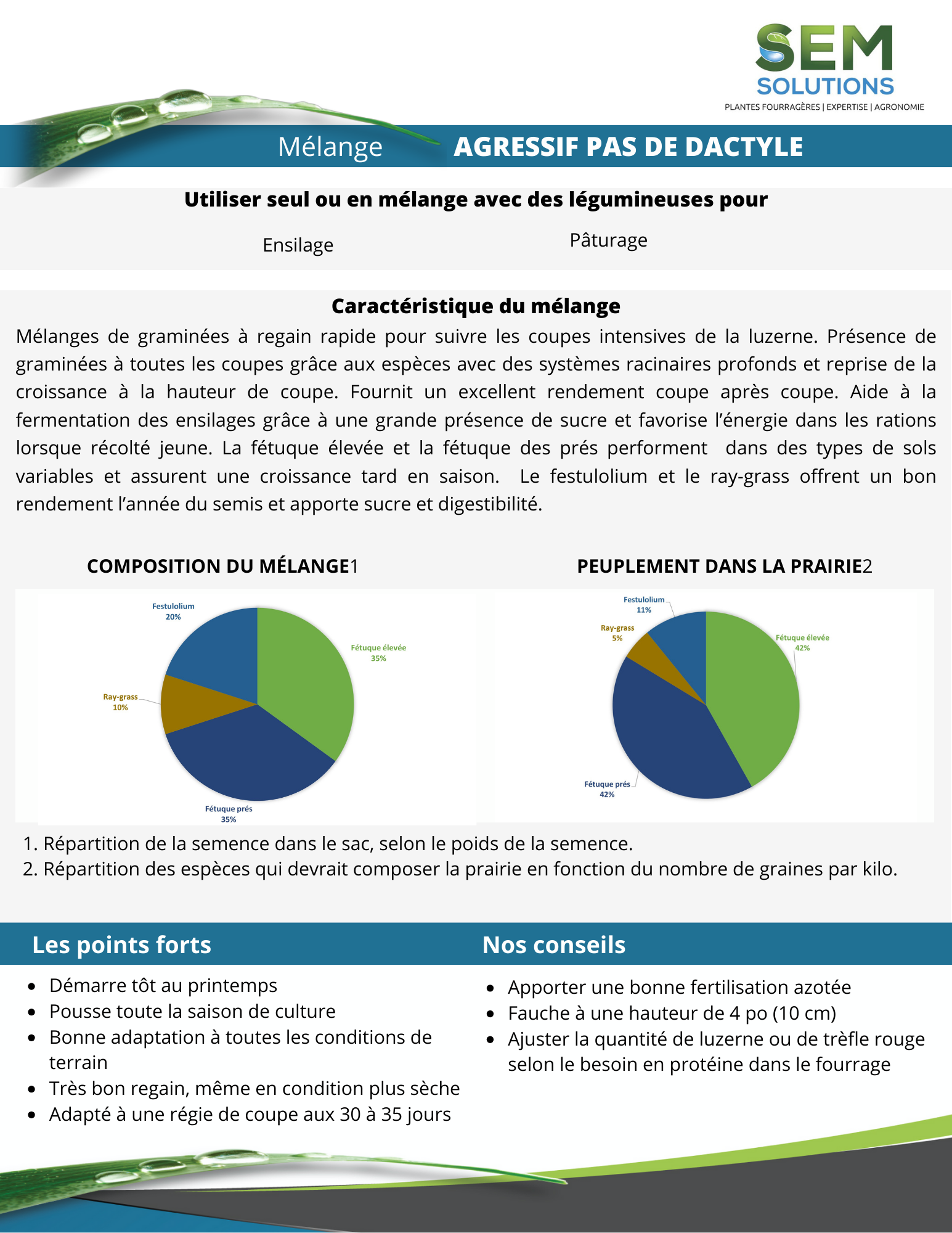 Aggressive without orchardgrass