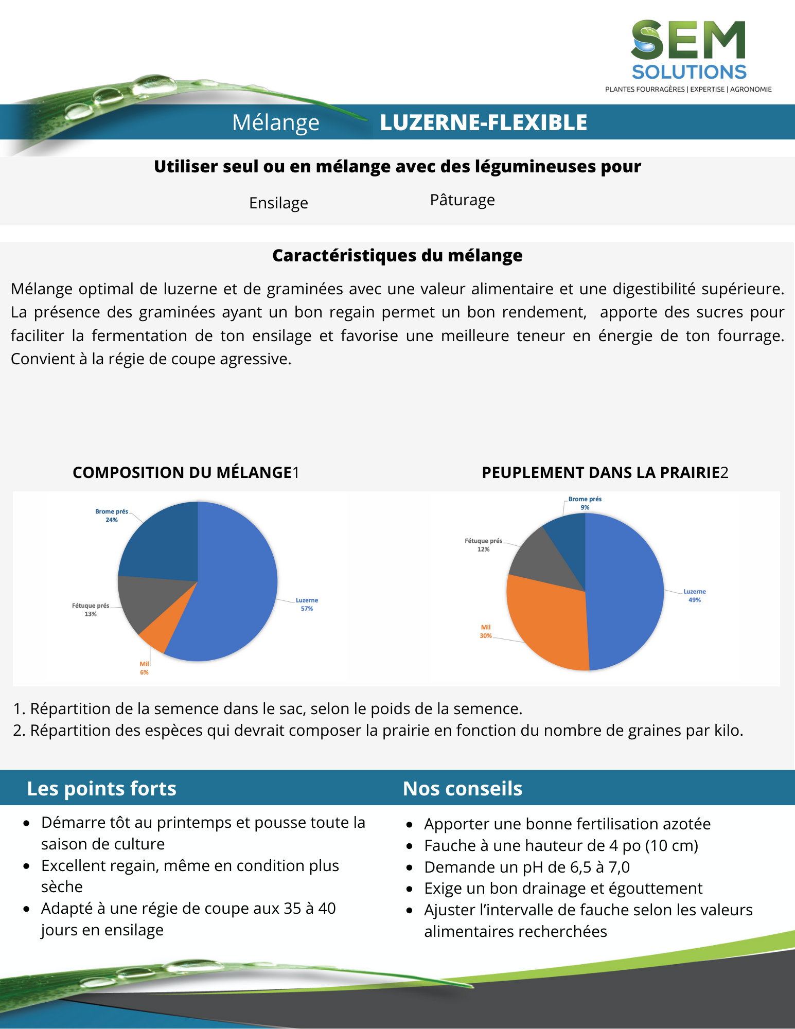 Flexible with Alfalfa