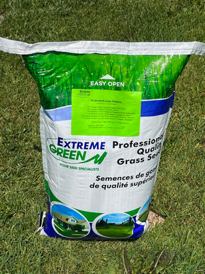 Extreme Green shade lawn